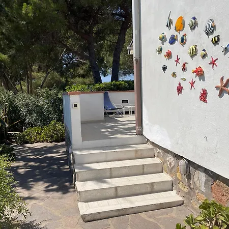 Appartamento Il Polpetto